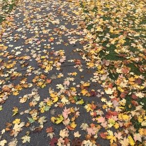 Meet your Posher, Nelvin